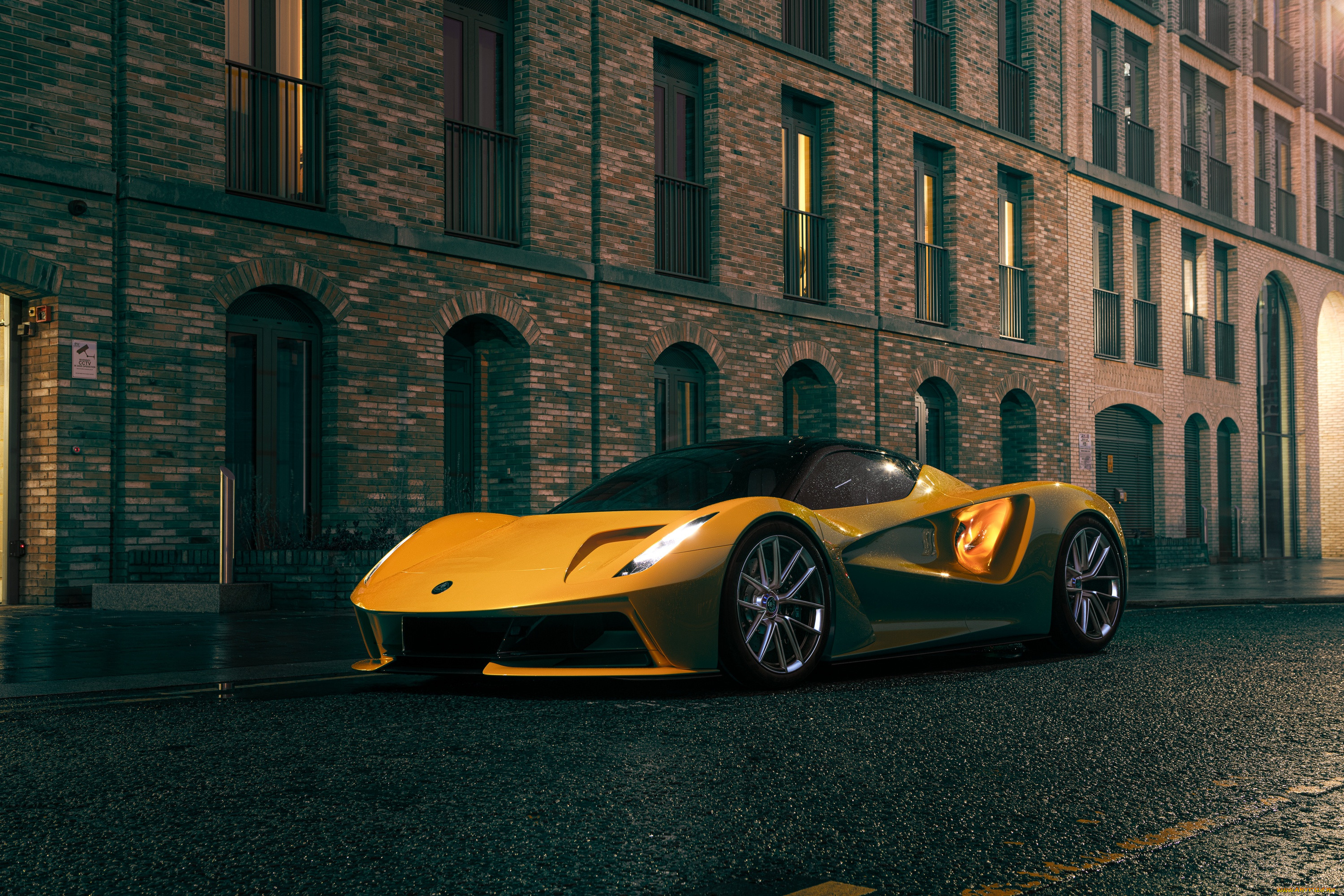 , lotus